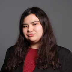 Файзуллаева Элина